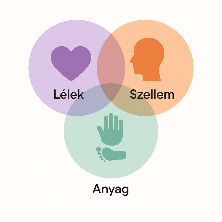 Projektek